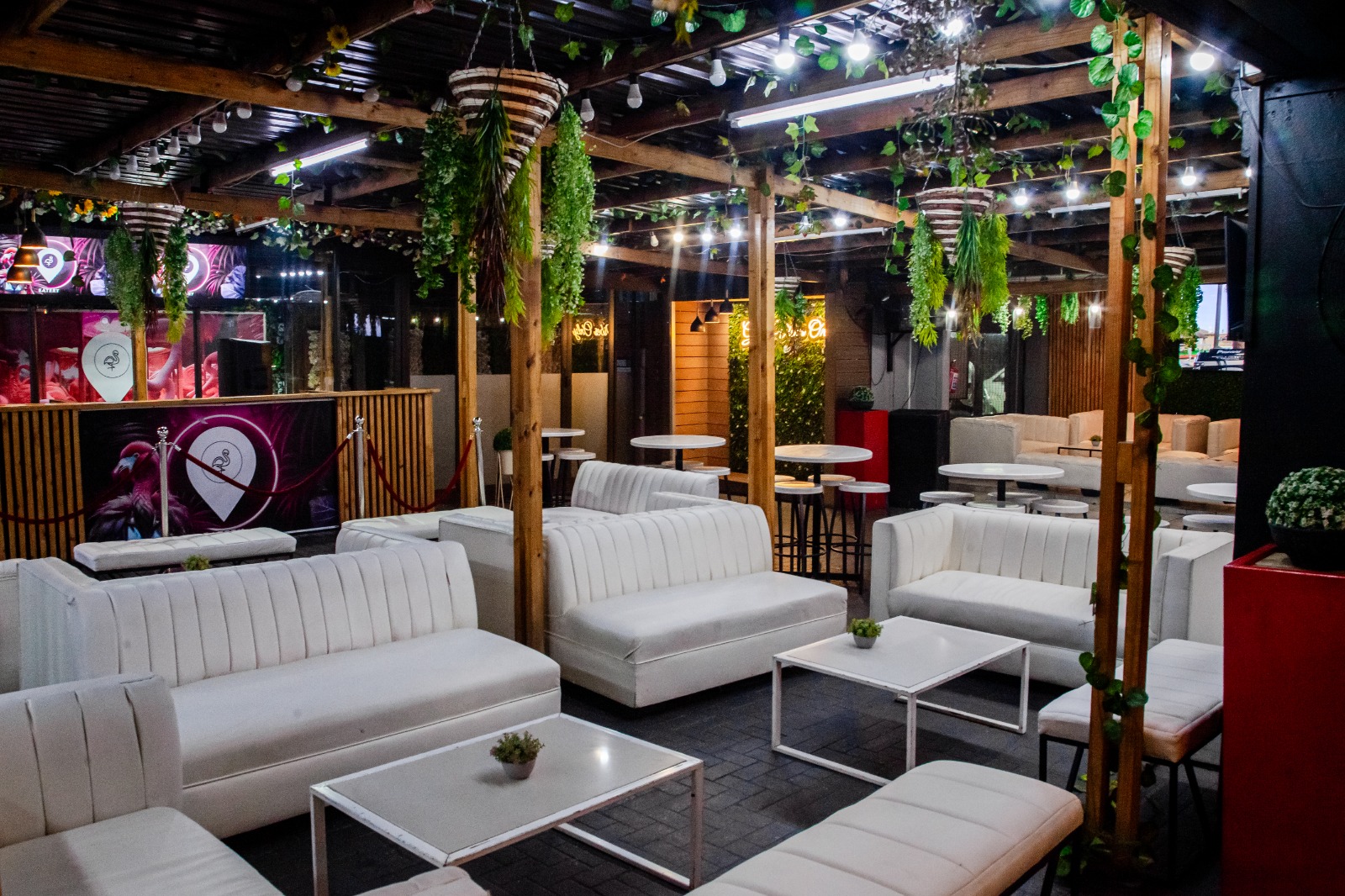 Creative cocktails and beverages